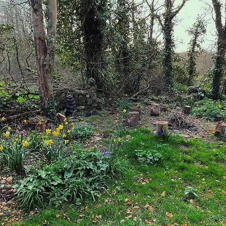 The Studio, Trelugga * Helston
