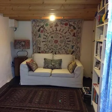 The Studio, Trelugga